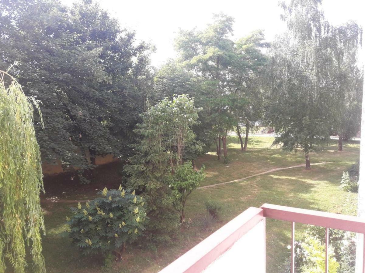 Apartament Krolewski ساندومييش المظهر الخارجي الصورة